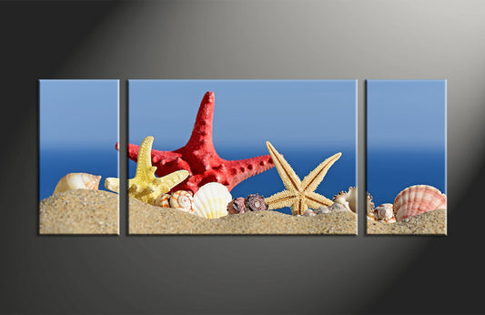 Custom Split Canvas Prints 3 Panels Frames