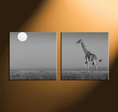 Custom Split Canvas Prints 2 Panel Square Frames