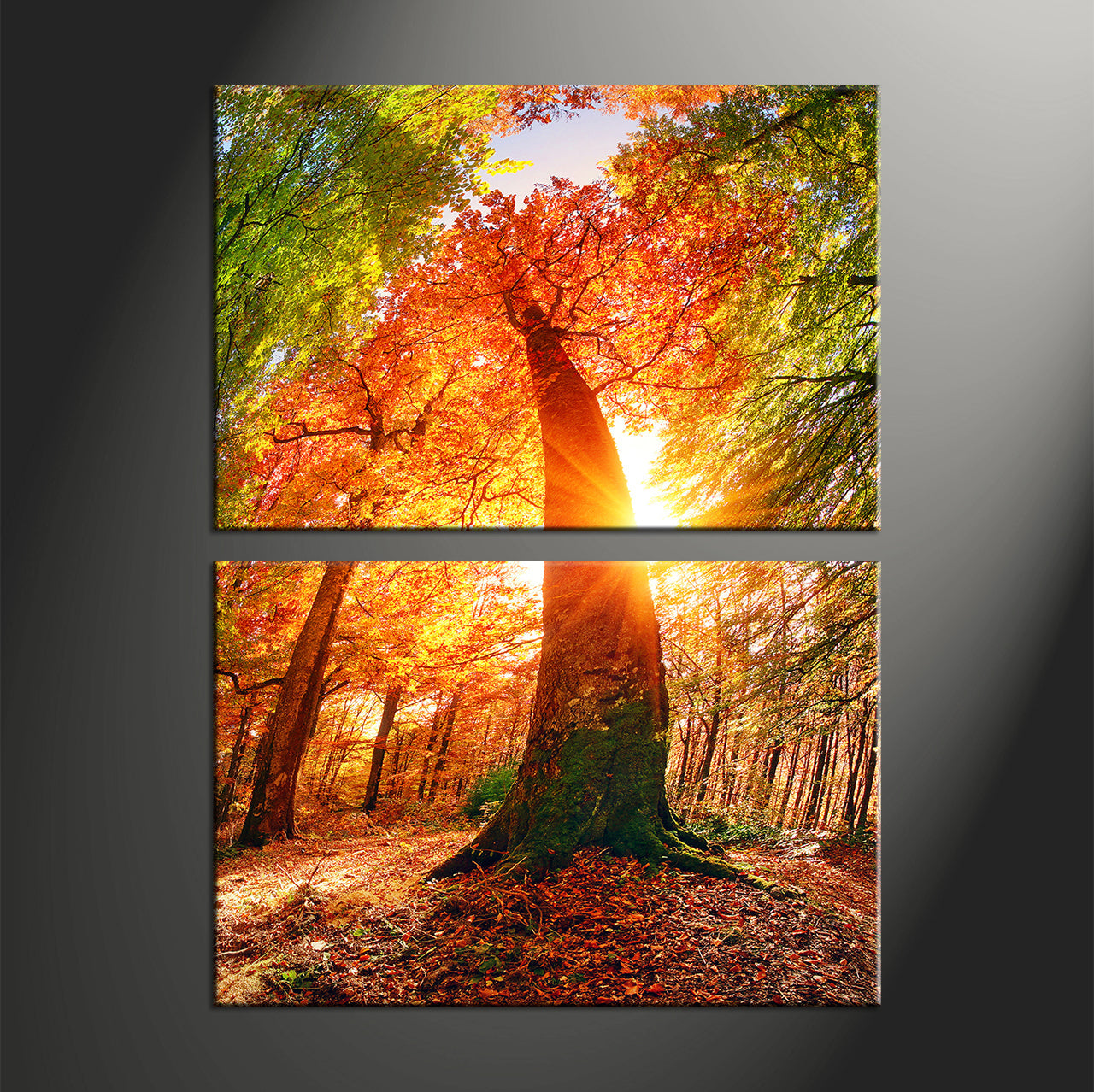 Custom Split Canvas Prints 2 Panles Frames Portrait