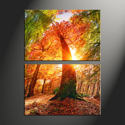 Custom Split Canvas Prints 2 Panles Frames Portrait