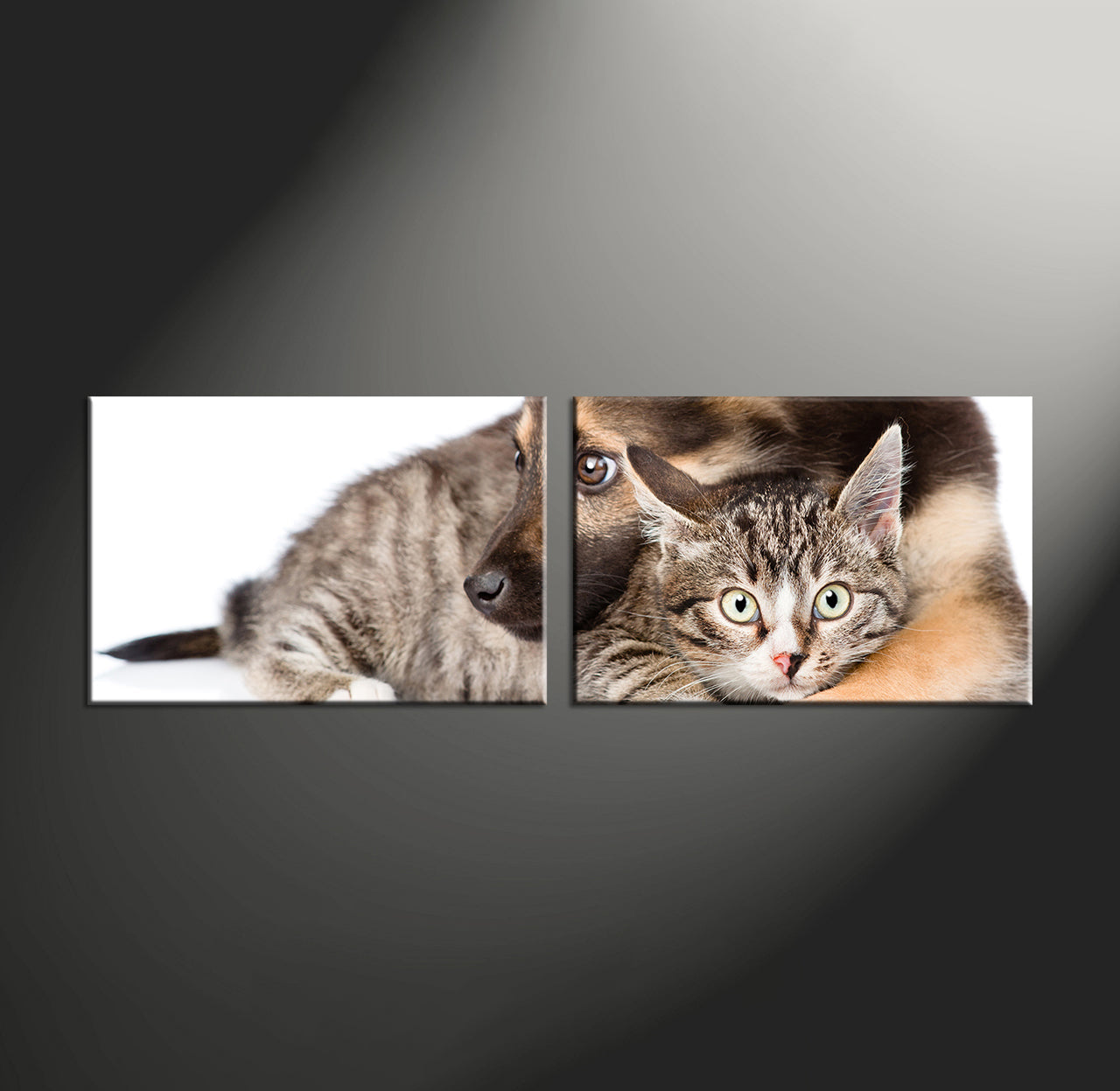 Custom Split Canvas Prints 2 Piece Frames Landscape