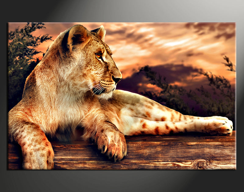 Custom Canvas Prints Landscape