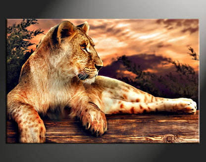 Custom Canvas Prints Landscape