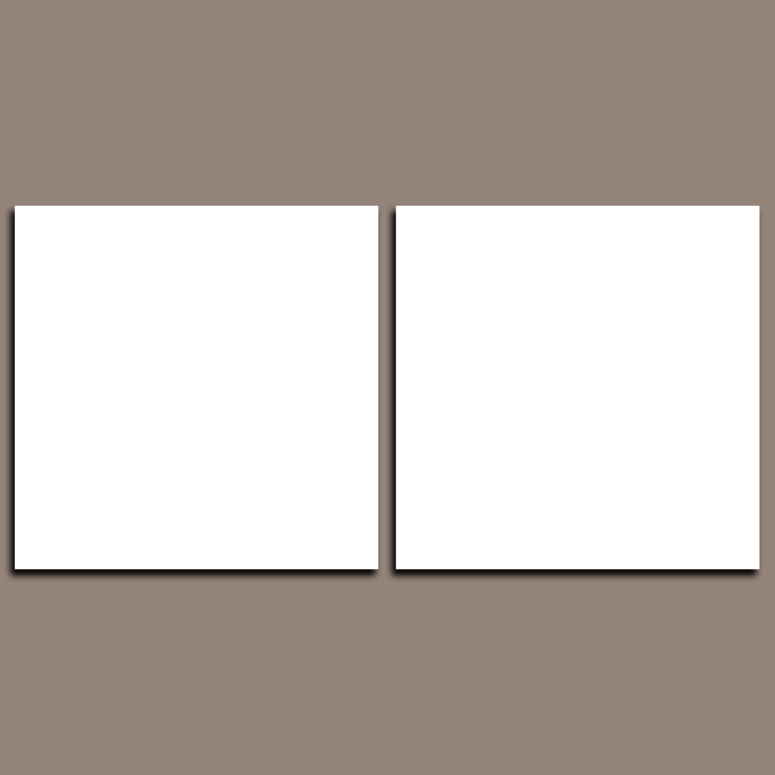 Custom Split Canvas Prints 2 Panel Square Frames