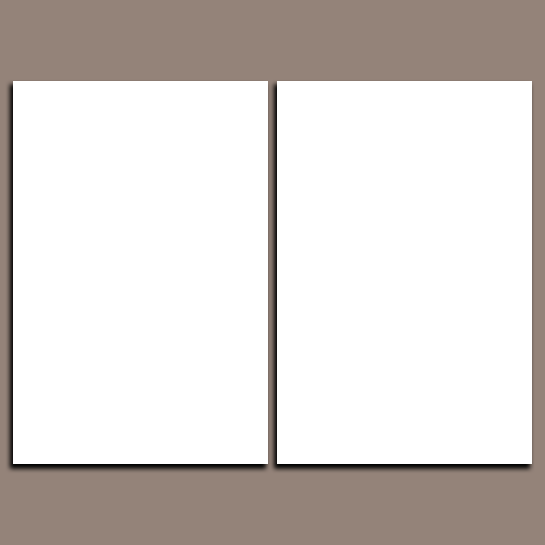 Custom Split Canvas Prints 2 Pieces Canvas Frames Art