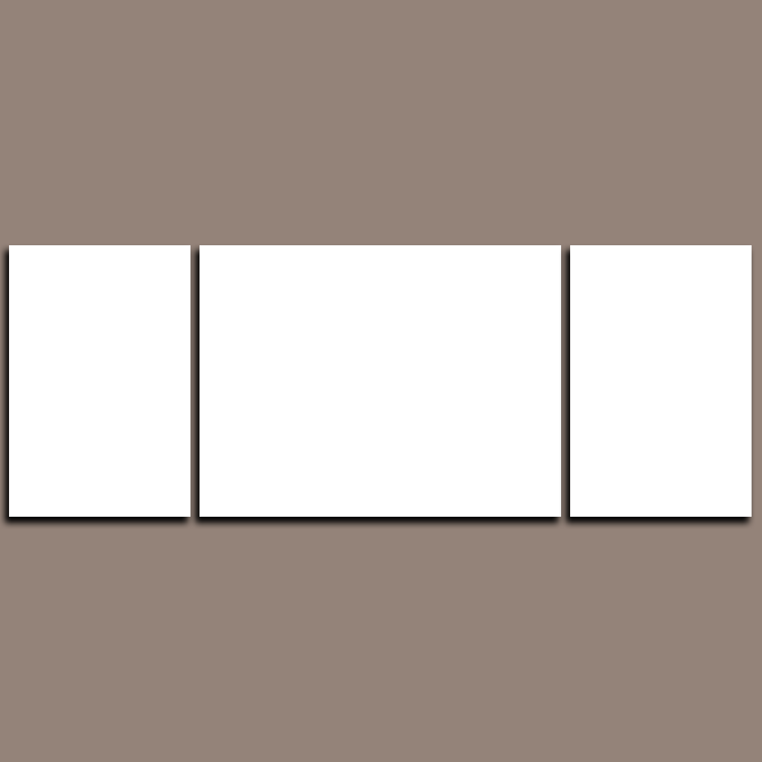 Custom Split Canvas Prints 3 Panels Frames