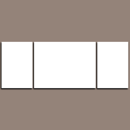 Custom Split Canvas Prints 3 Panels Frames