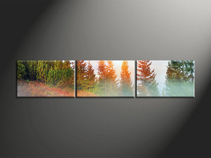 Custom Split Canvas Prints 3 Pieces Frames Landscape