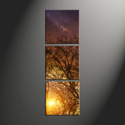 Custom Split Canvas Prints 3 Piece Frames Square Portrait