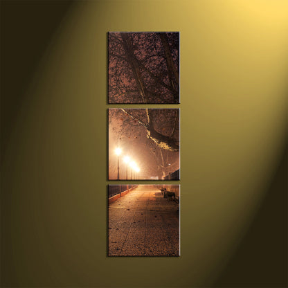 Custom Split Canvas Prints 3 Piece Frames Square Portrait