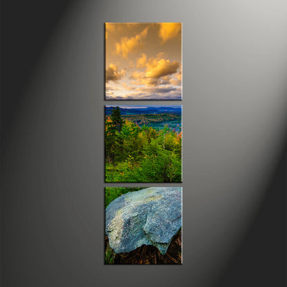 Custom Split Canvas Prints 3 Piece Frames Square Portrait