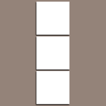 Custom Split Canvas Prints 3 Piece Frames Square Portrait
