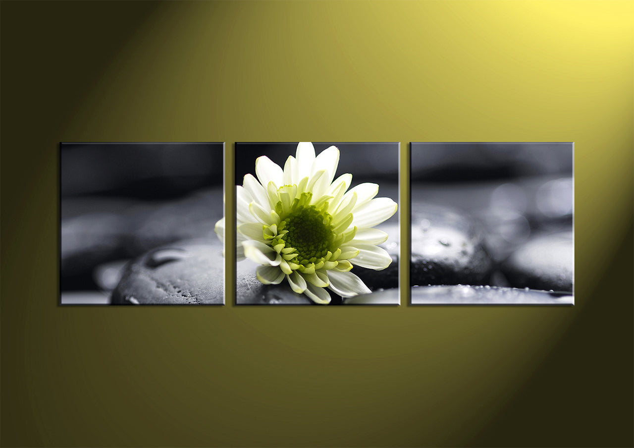 Custom Split Canvas Prints 3 Panles Frames Square