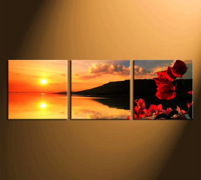 Custom Split Canvas Prints 3 Panles Frames Square