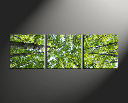 Custom Split Canvas Prints 3 Panles Frames Square