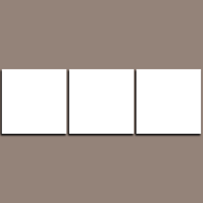 Custom Split Canvas Prints 3 Panles Frames Square
