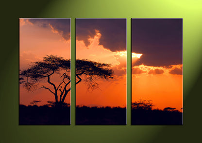 Custom 3 Split Canvas Prints
