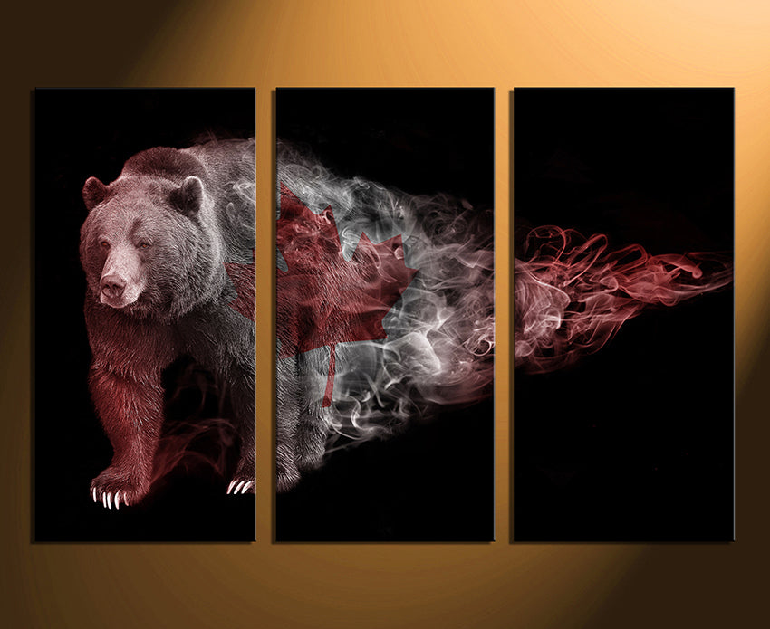 Custom Split Canvas Prints 3 Panel Frames Canvas Art