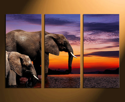 Custom Canvas Prints 3 Piece Collage Canvas Frames