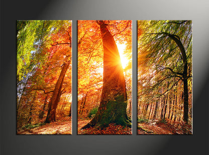 Custom Split Canvas Prints 3 Panel Frames Canvas Art