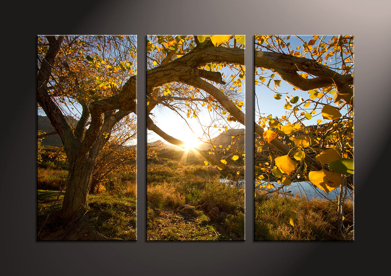 Custom 3 Split Canvas Prints