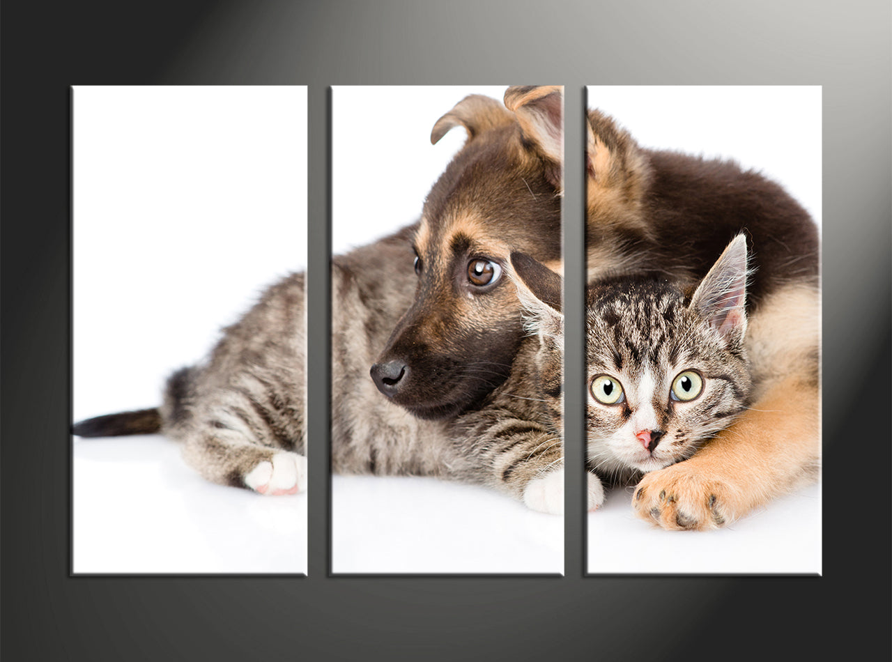 Custom Canvas Prints 3 Piece Collage Canvas Frames