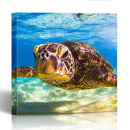 Custom Canvas Prints Square